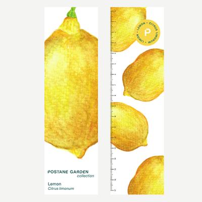 Ayraç-Limon