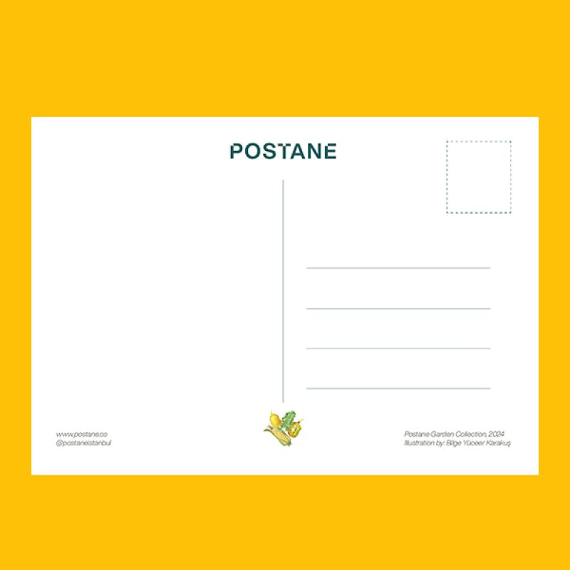 Kartpostal - Kale