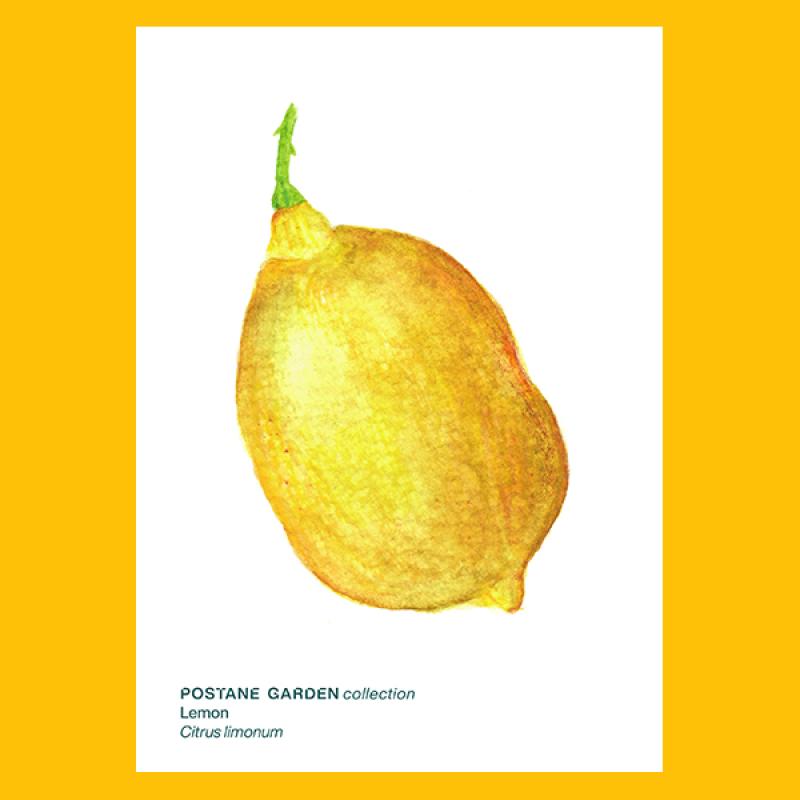 Kartpostal - Limon
